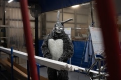 costume_contest_compressed_2024-09
