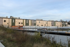 Viwinco-dogfish_1