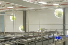 Viwinco-dogfish_10-interior