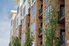 The Berkeley at Waypointe in Norwalk, CT