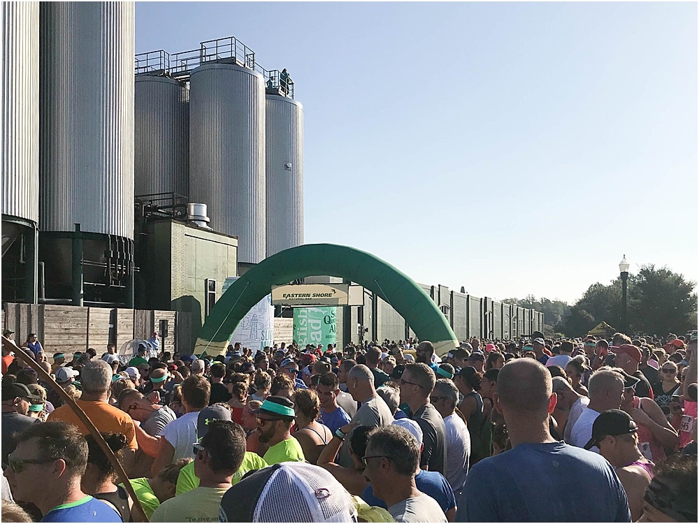 2019 Dogfish Dash Starting Line